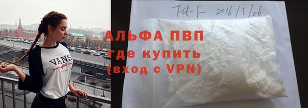 СК Касимов