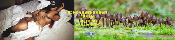 шишки Карталы
