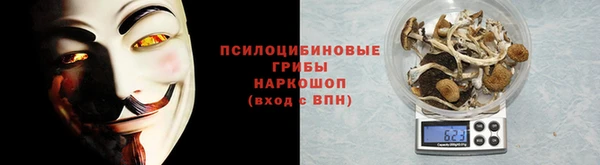соль ск Карпинск