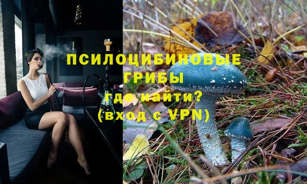 соль ск Карпинск