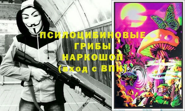 шишки Карталы