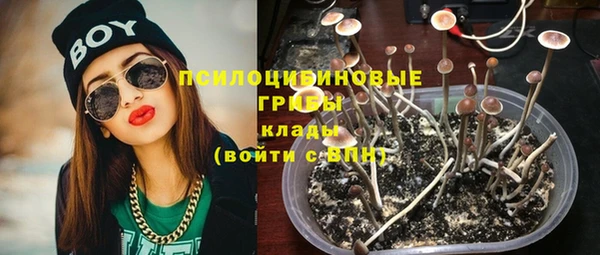 соль ск Карпинск