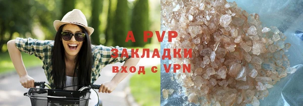 СК Касимов