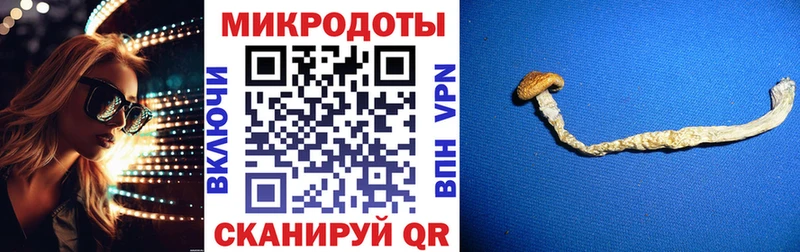 Галлюциногенные грибы ЛСД  Купить где  Хасавюрт 